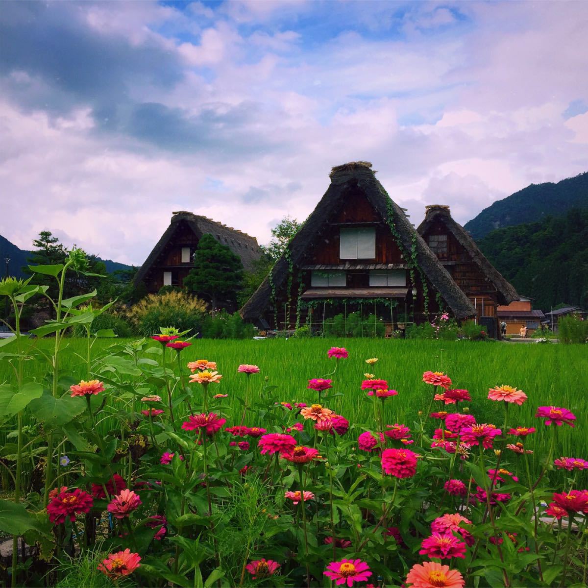 白川鄉合掌村旅遊景點攻略圖