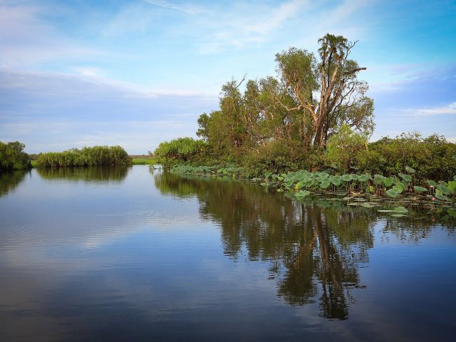 卡卡杜国家公园