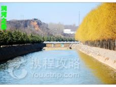 渑池大师父蛋糕名店(新市场店)附近景点推荐_