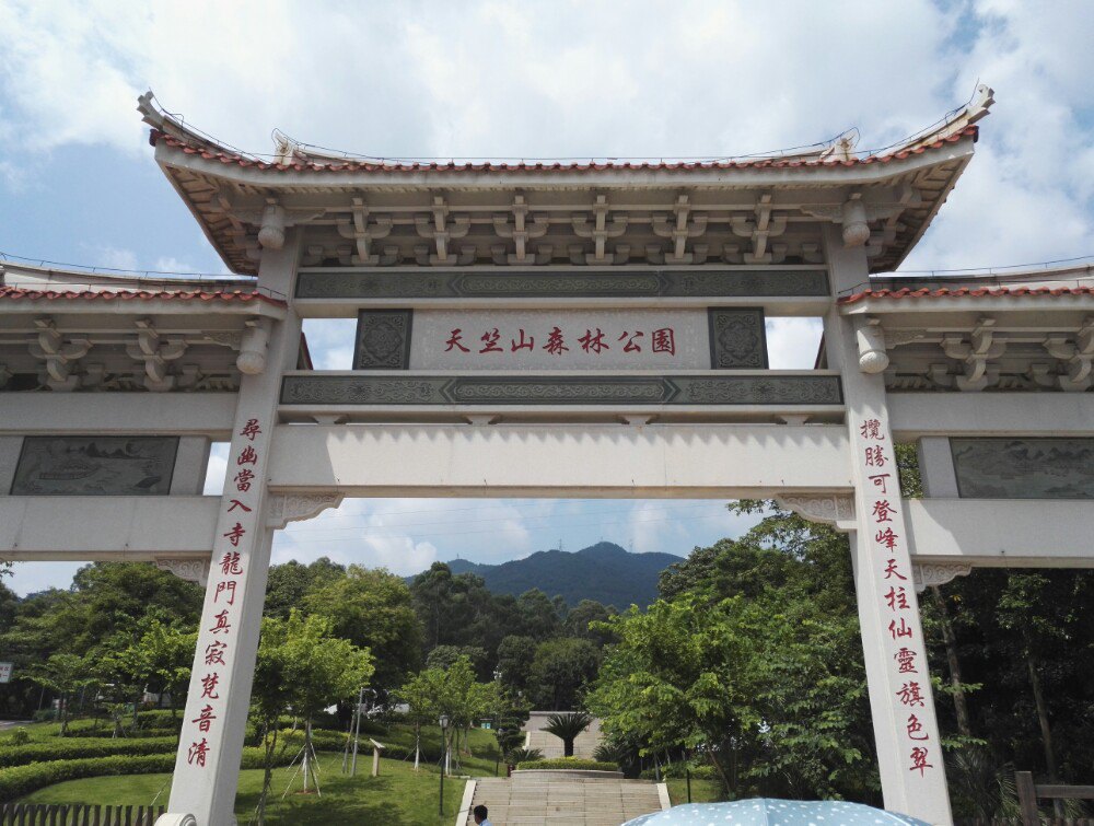 2019天竺山森林公园_旅游攻略_门票_地址_游记点评,厦门旅游景点推荐