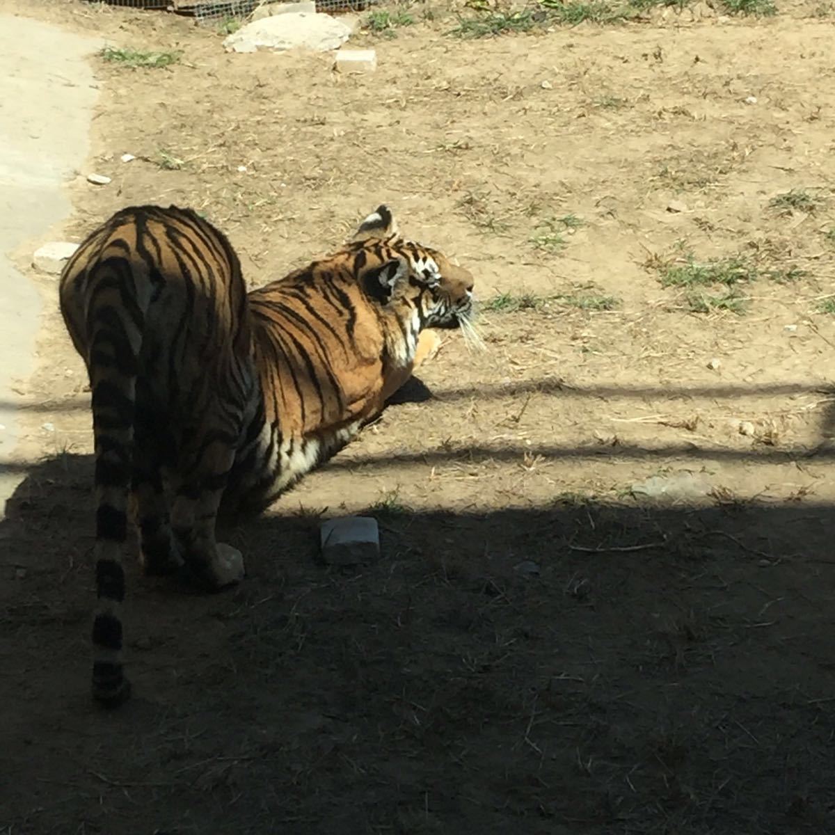 北京野生動物園