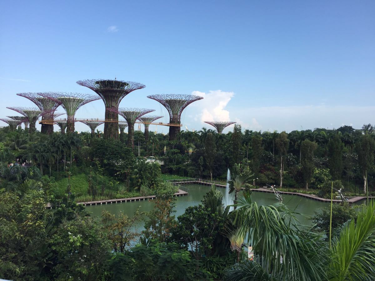 新加坡滨海湾花园
