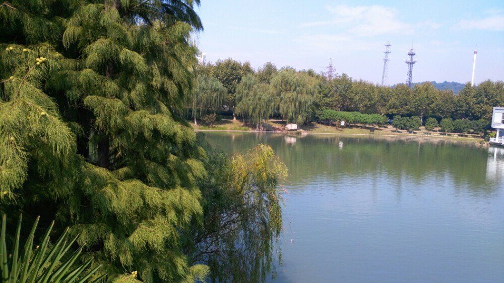 2019黃山湖公園_旅遊攻略_門票_地址_遊記點評,江陰旅遊景點推薦 - 去