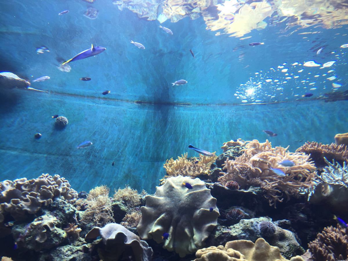 台湾海洋生物博物馆