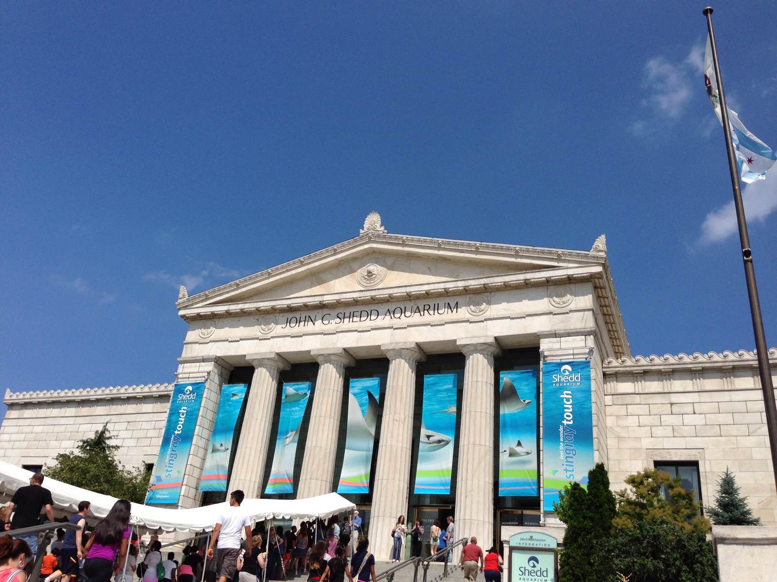 【携程攻略】芝加哥谢德水族馆景点,来到shedd水族馆,先看了海豚表演