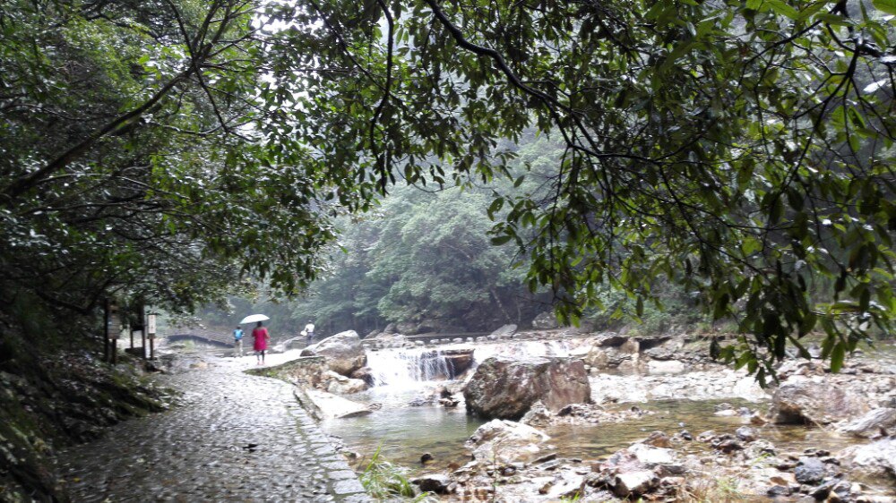 2019銅鈴山森林公園_旅遊攻略_門票_地址_遊記點評,文成旅遊景點推薦