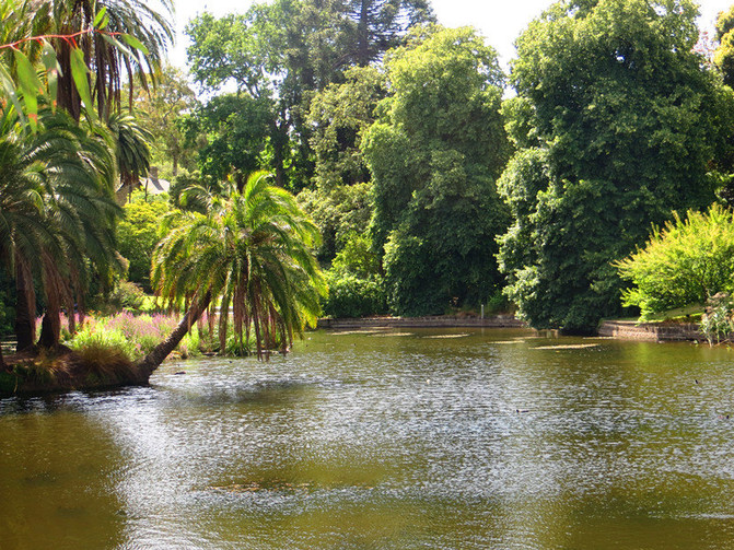 澳大利亚新西兰旅游纪实12-墨尔本皇家植物园