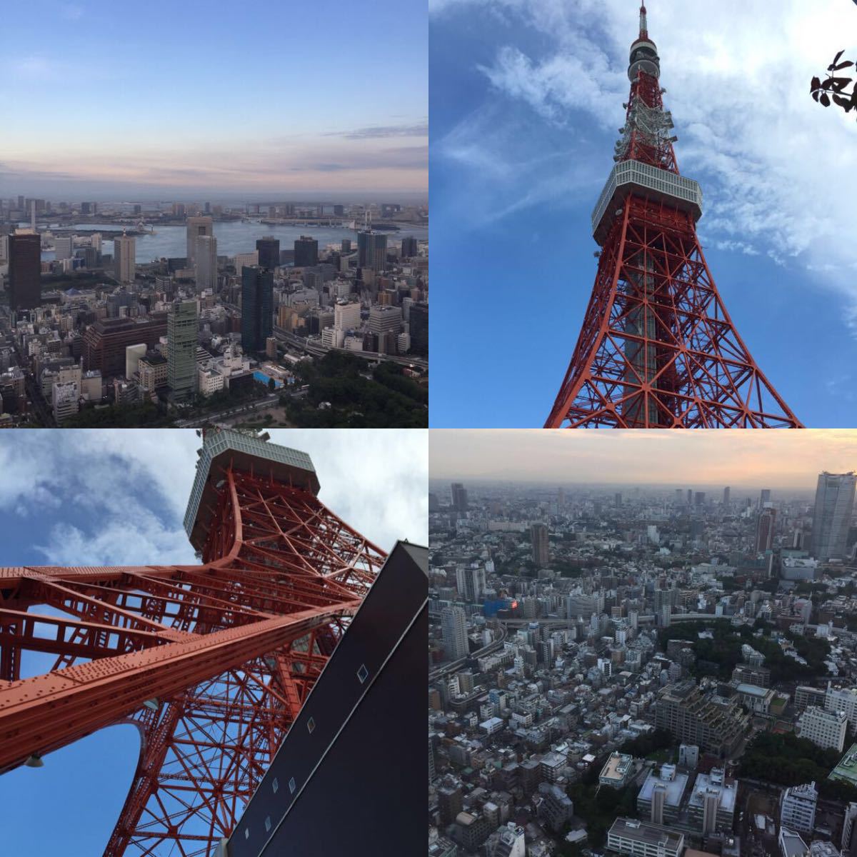 东京都厅展望台