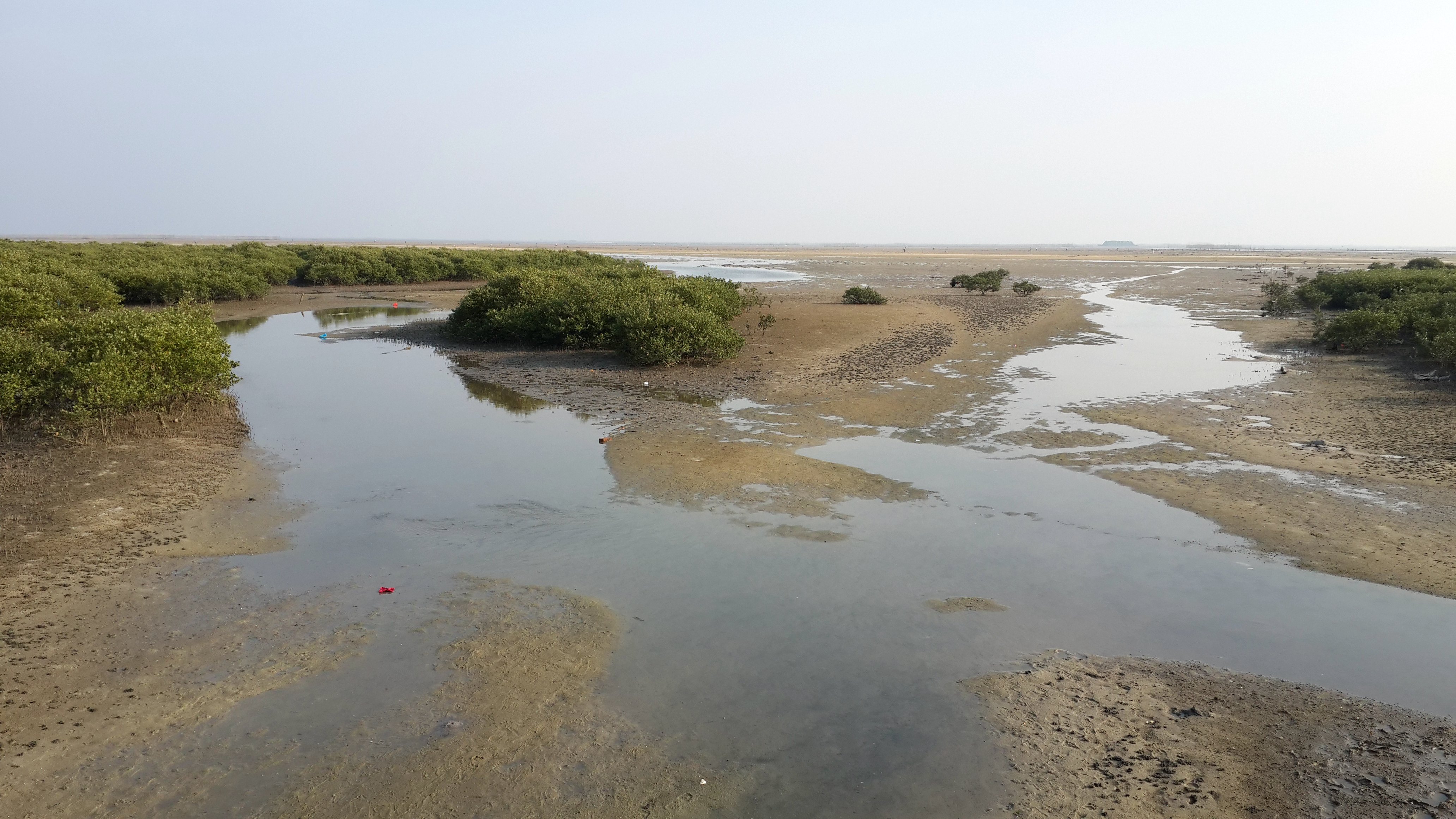 北海金海灣紅樹林生態旅遊區旅遊景點攻略圖