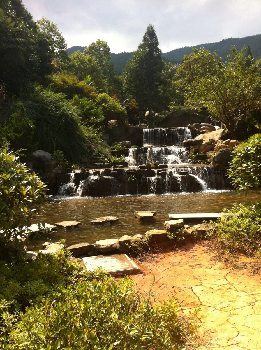 【攜程攻略】瀏陽大圍山國家森林公園適合家庭親子旅遊嗎,大圍山國家