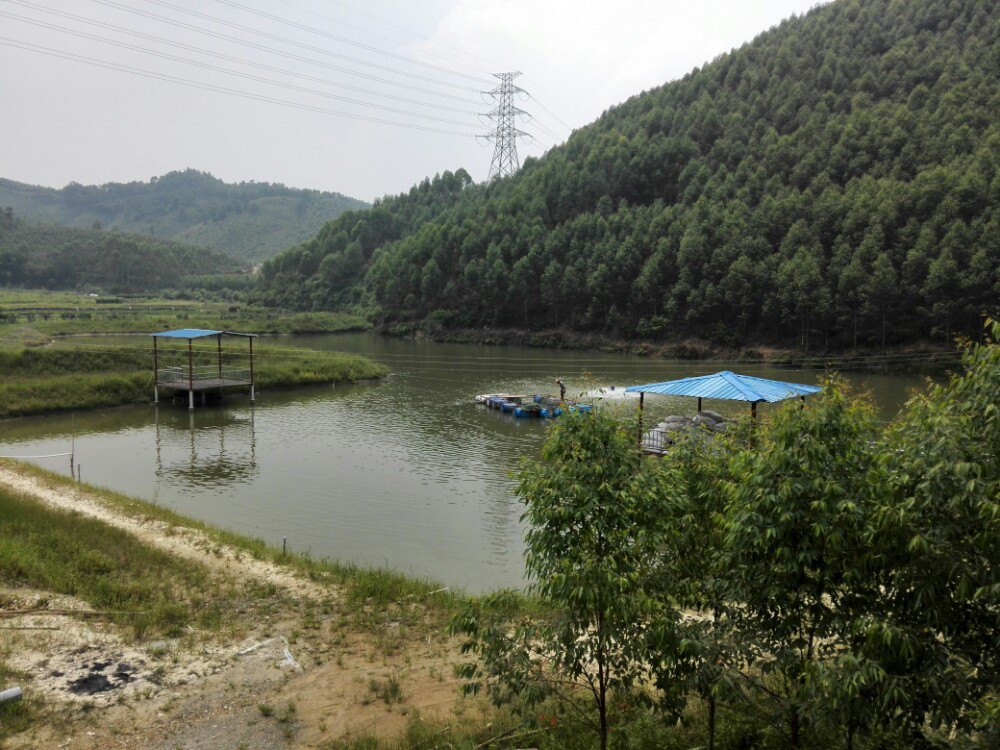 湯原生態旅遊度假區_旅遊攻略_門票_地址_遊記點評,龍門旅遊玩樂推薦