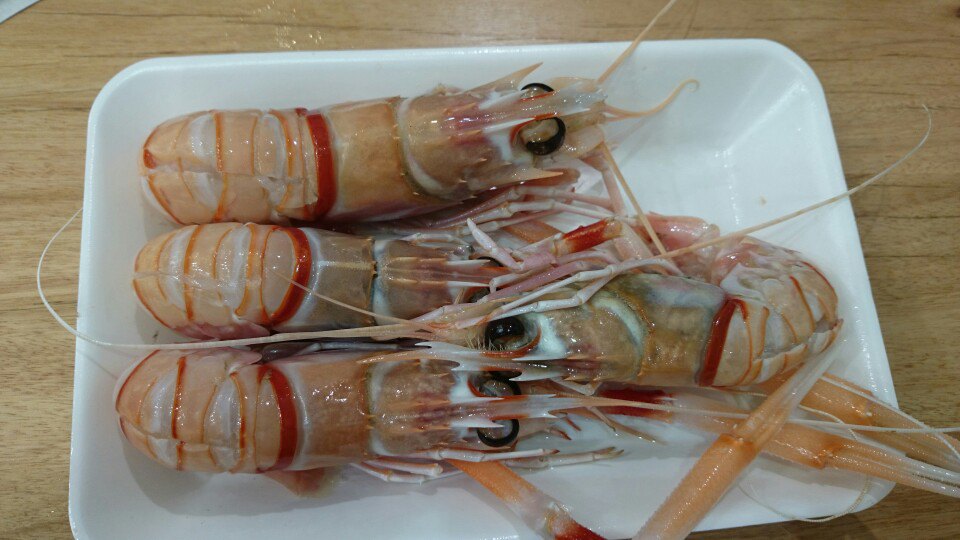 sydney fish market旅游景点攻略图