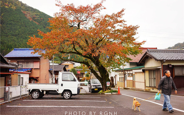 岐阜5天4夜秋日游 遇见浪漫的秋天童话 金泽 白川乡 下吕温泉 日本游记攻略 携程攻略