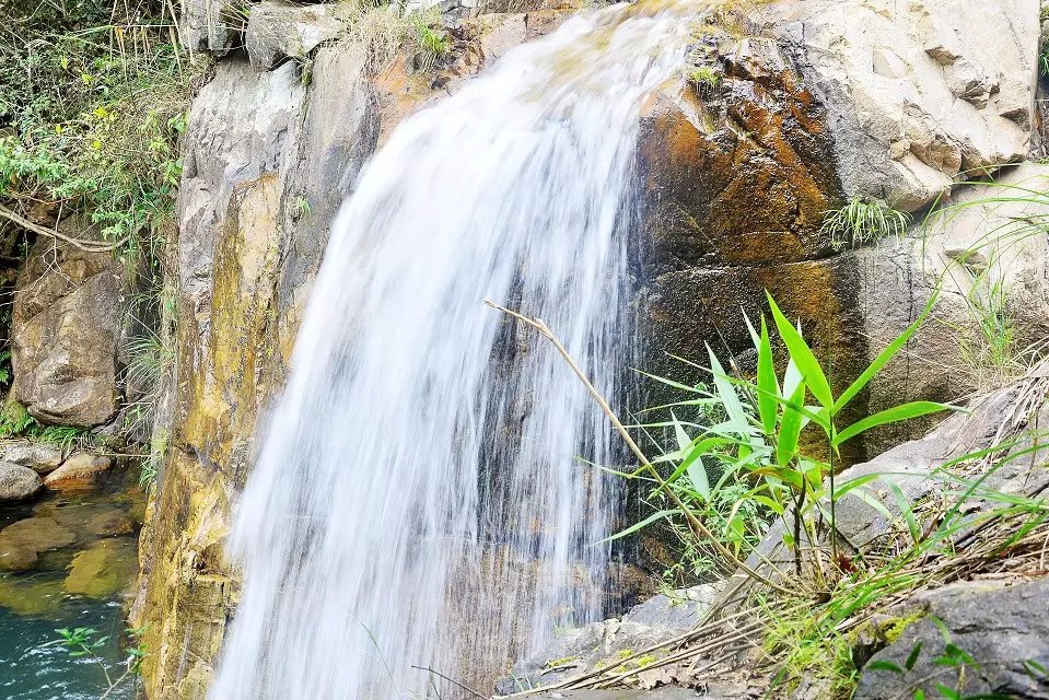 同安造水村樱花园