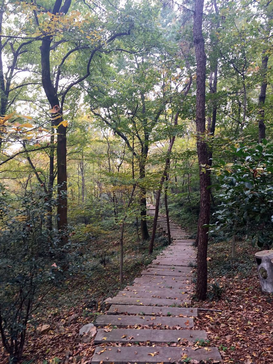 【攜程攻略】南京老山國家森林公園景點,老山在浦口區,比較偏外地的遊