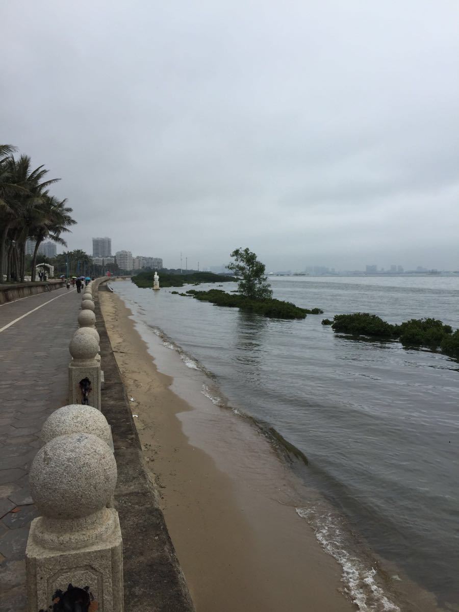 2019霞山觀海長廊_旅遊攻略_門票_地址_遊記點評,湛江旅遊景點推薦