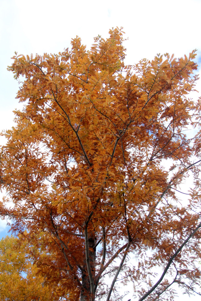 CggYHlZHQY-AEW_1AEM_sUEsW_A680_R_671_10000_Q90.jpg?proc=autoorient