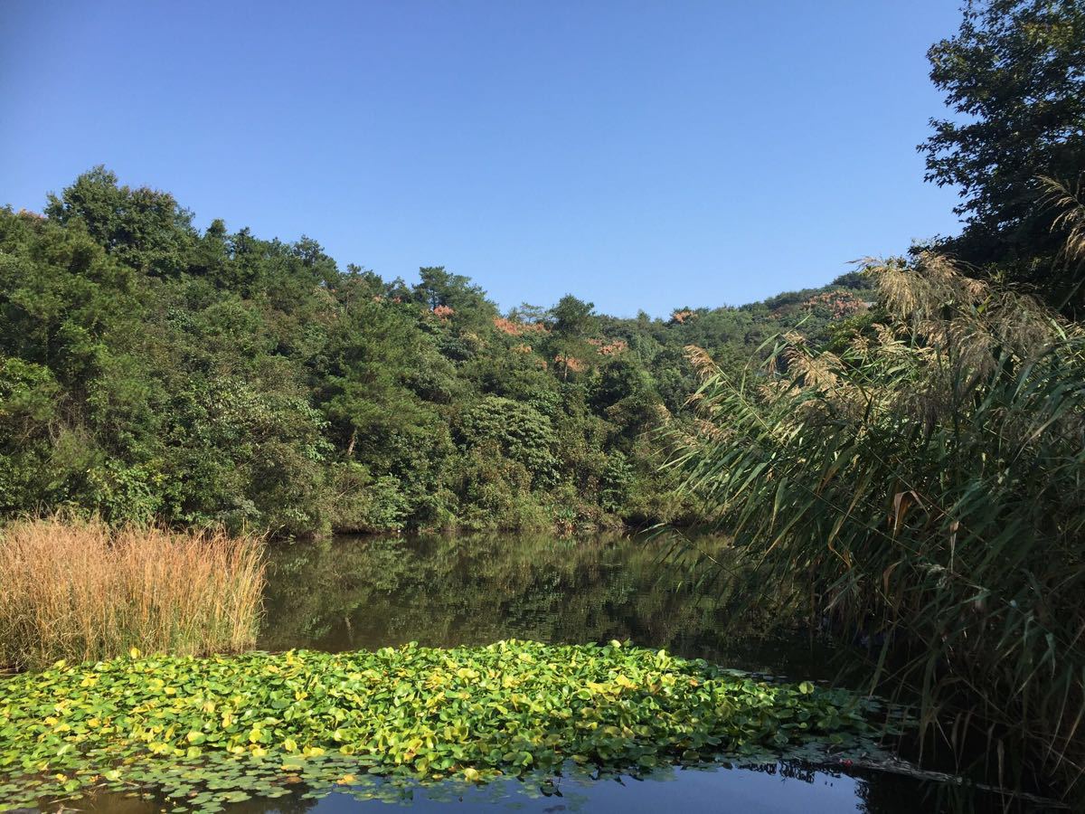 溧阳龙兴岛图片