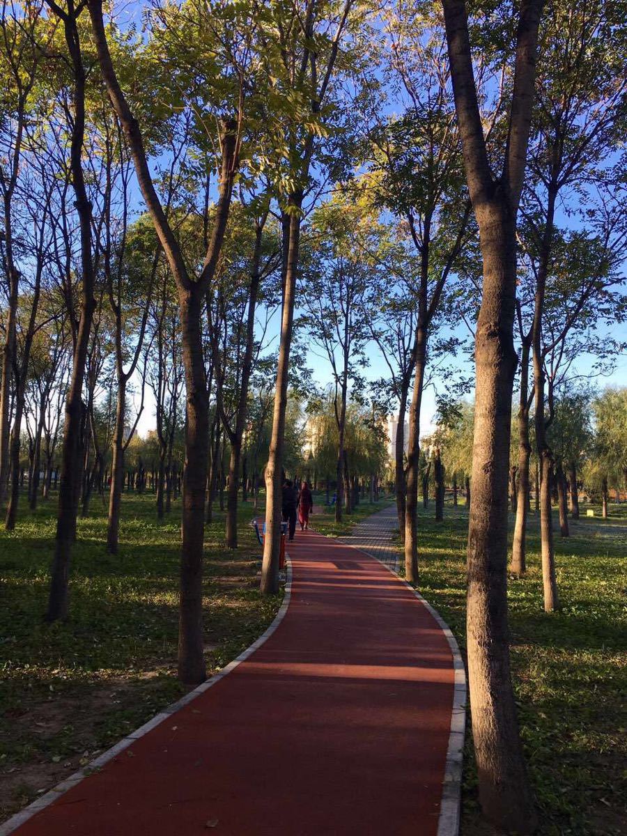 2023将府公园游玩攻略,每天早晨都会到这来跑步,公.【去哪儿攻略】