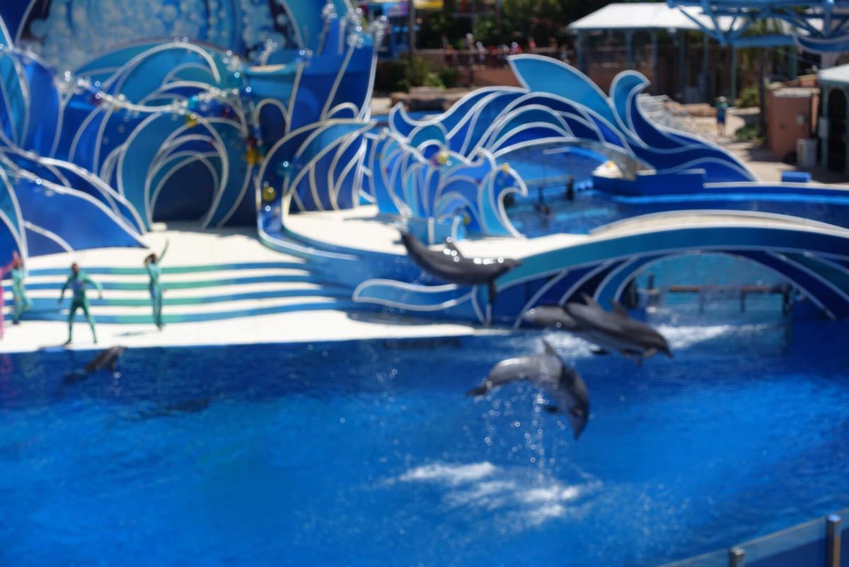 圣地亚哥海洋世界