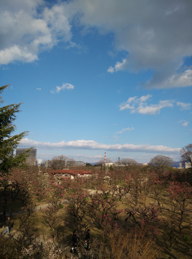日本关西轻松9日游 大阪-城崎-京都-奈良-大阪