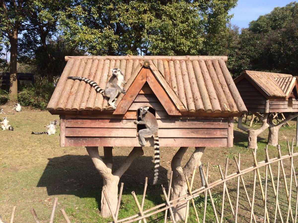上海野生动物园