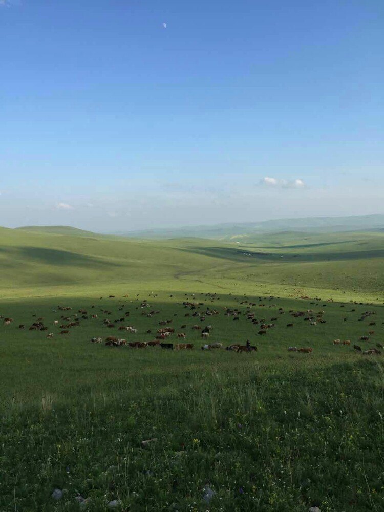 白音锡勒牧场景区