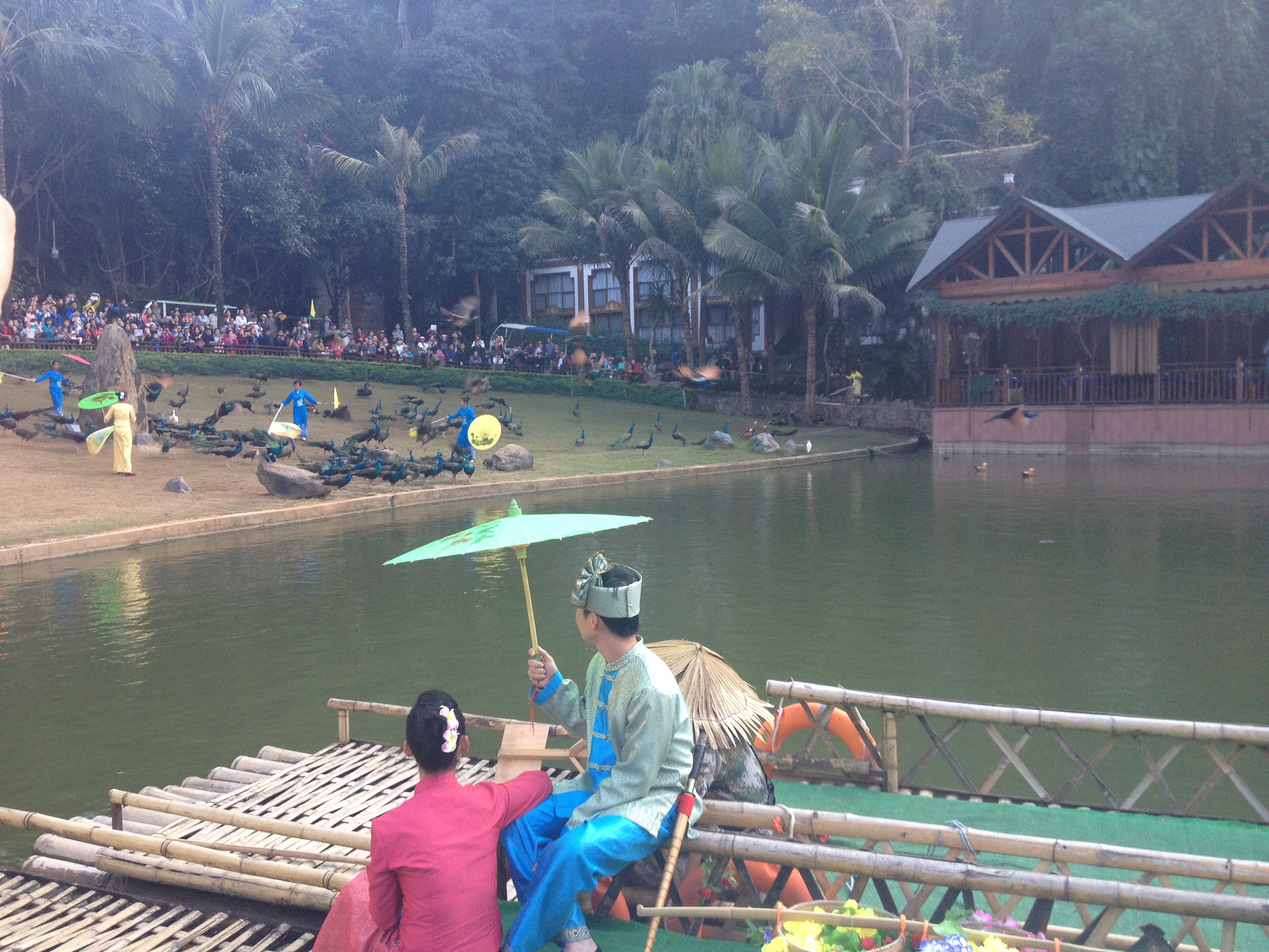 你好,我10月底到西雙版納旅遊,時間為3天,但是有老人,麻煩推薦一下