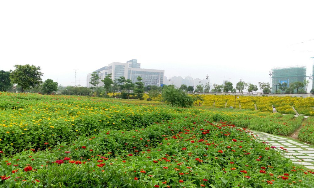 南江滨堤外公园