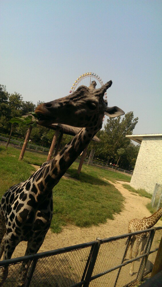 石家莊市動物園