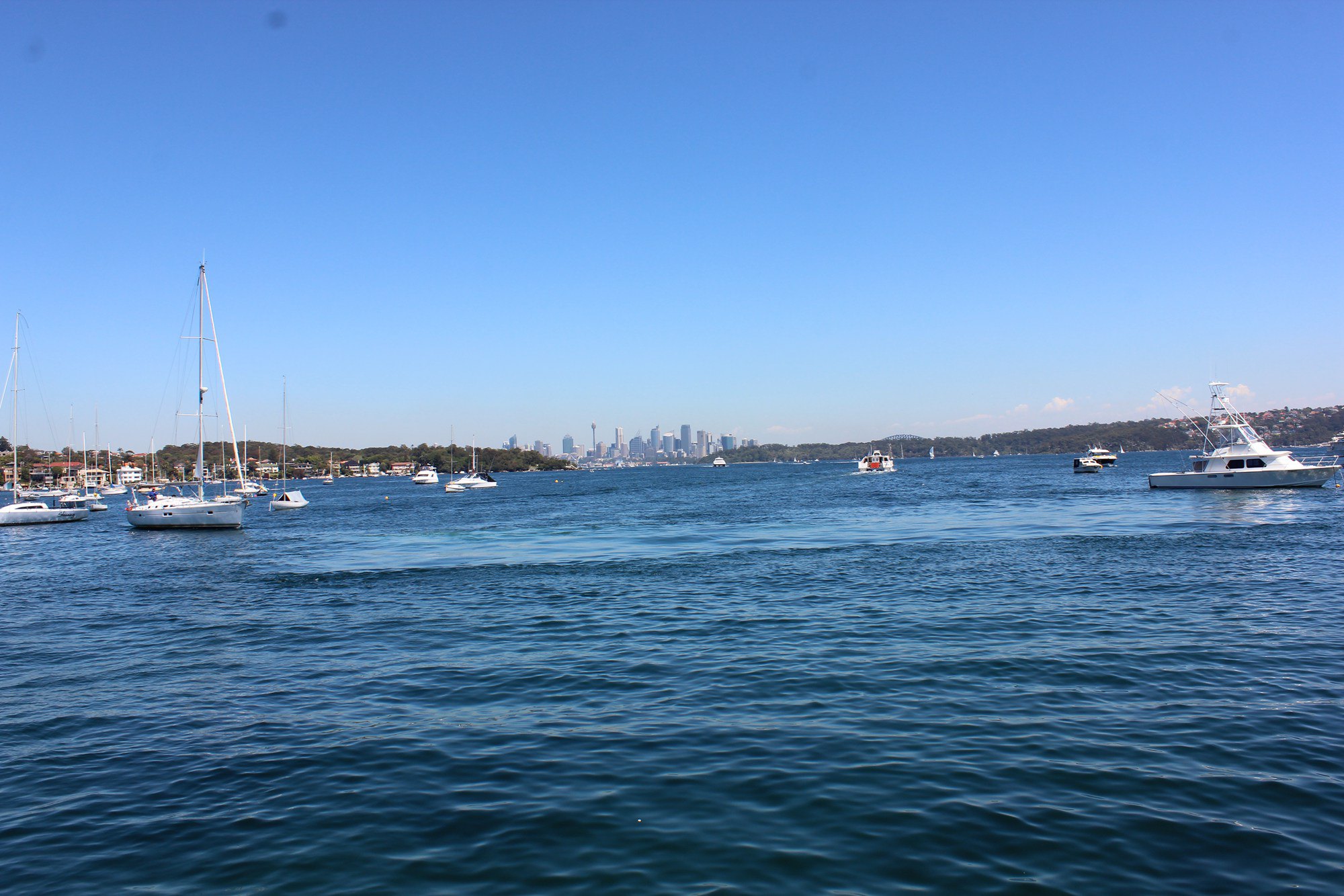 2019华特森湾_旅游攻略_门票_地址_游记点评,悉尼旅游景点推荐 - 去