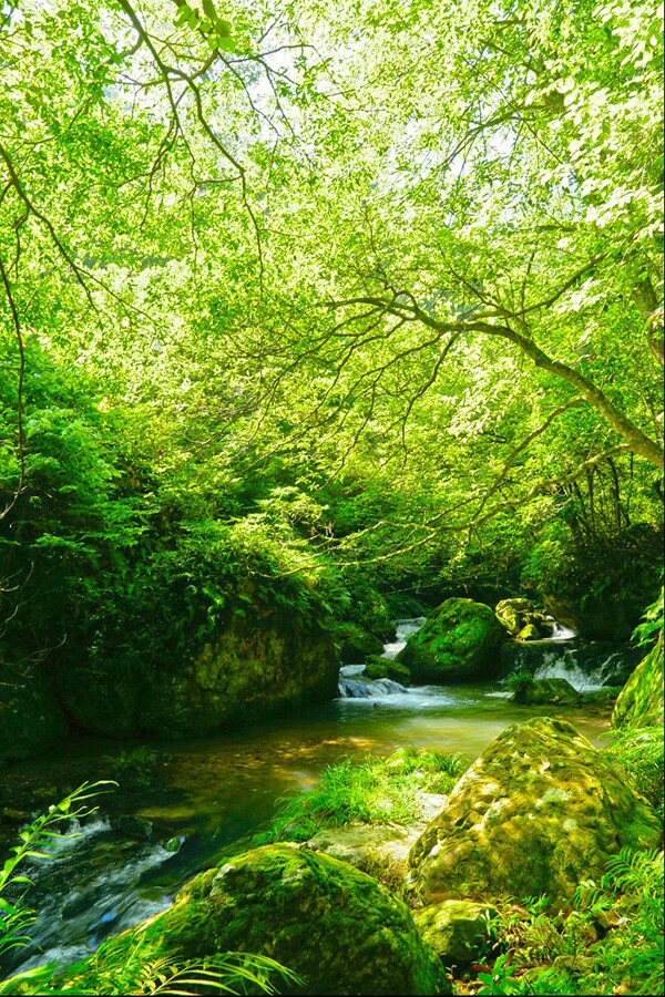 黄桑国家级自然保护区旅游景点攻略图