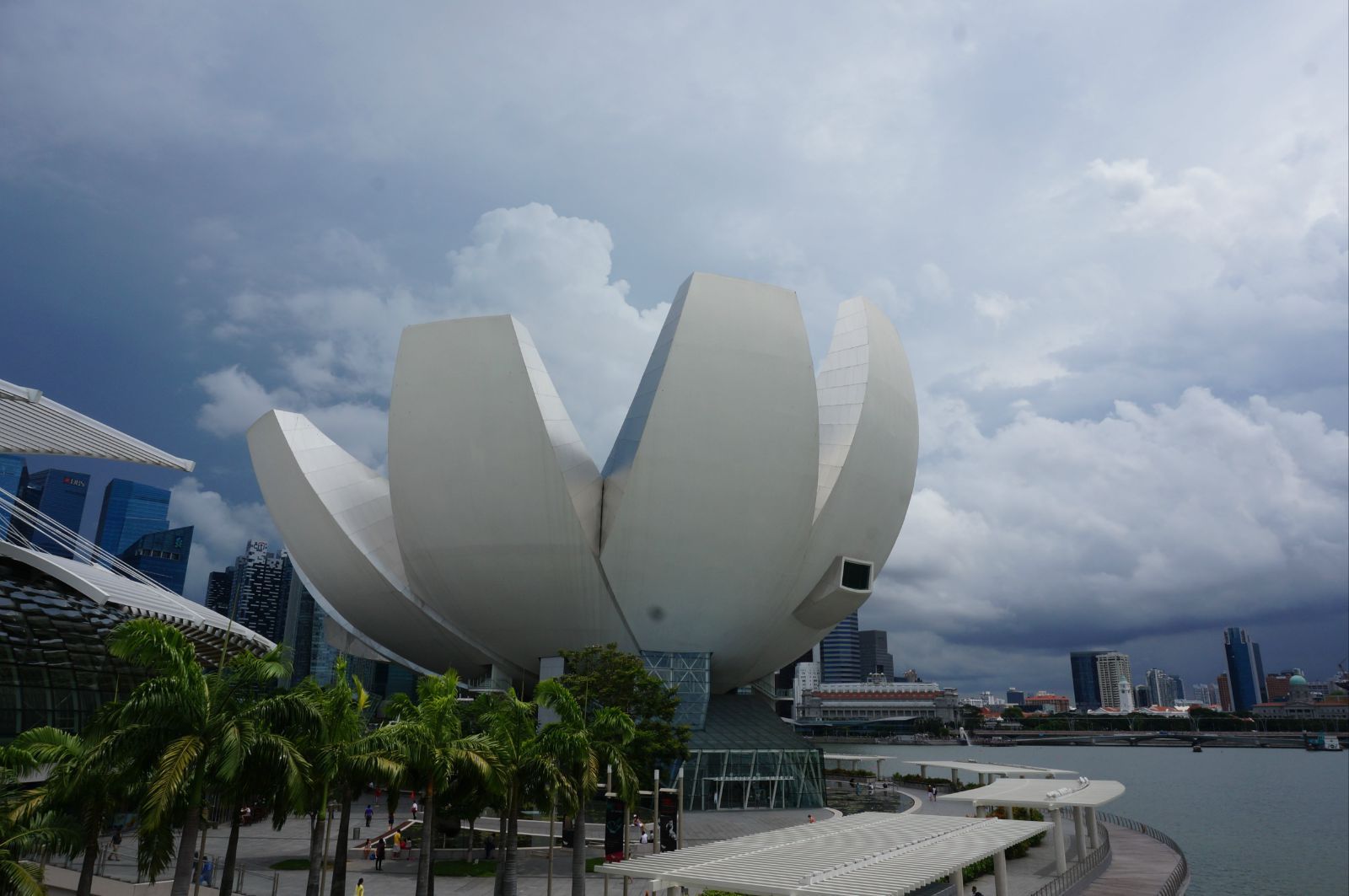 2020新加坡艺术科学博物馆-旅游攻略-门票-地址-问答-游记点评，新加坡旅游旅游景点推荐-去哪儿攻略