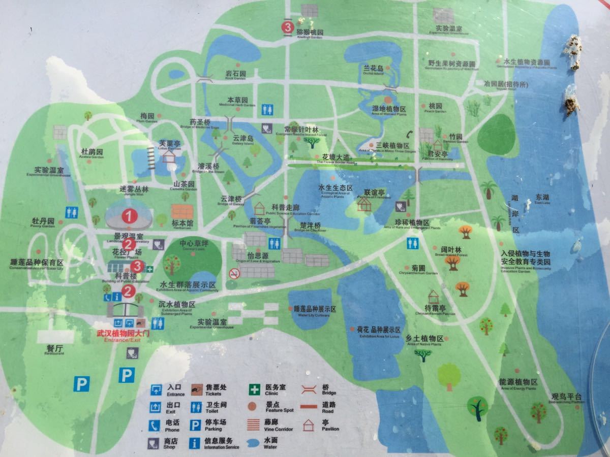 武汉植物园旅游景点攻略图