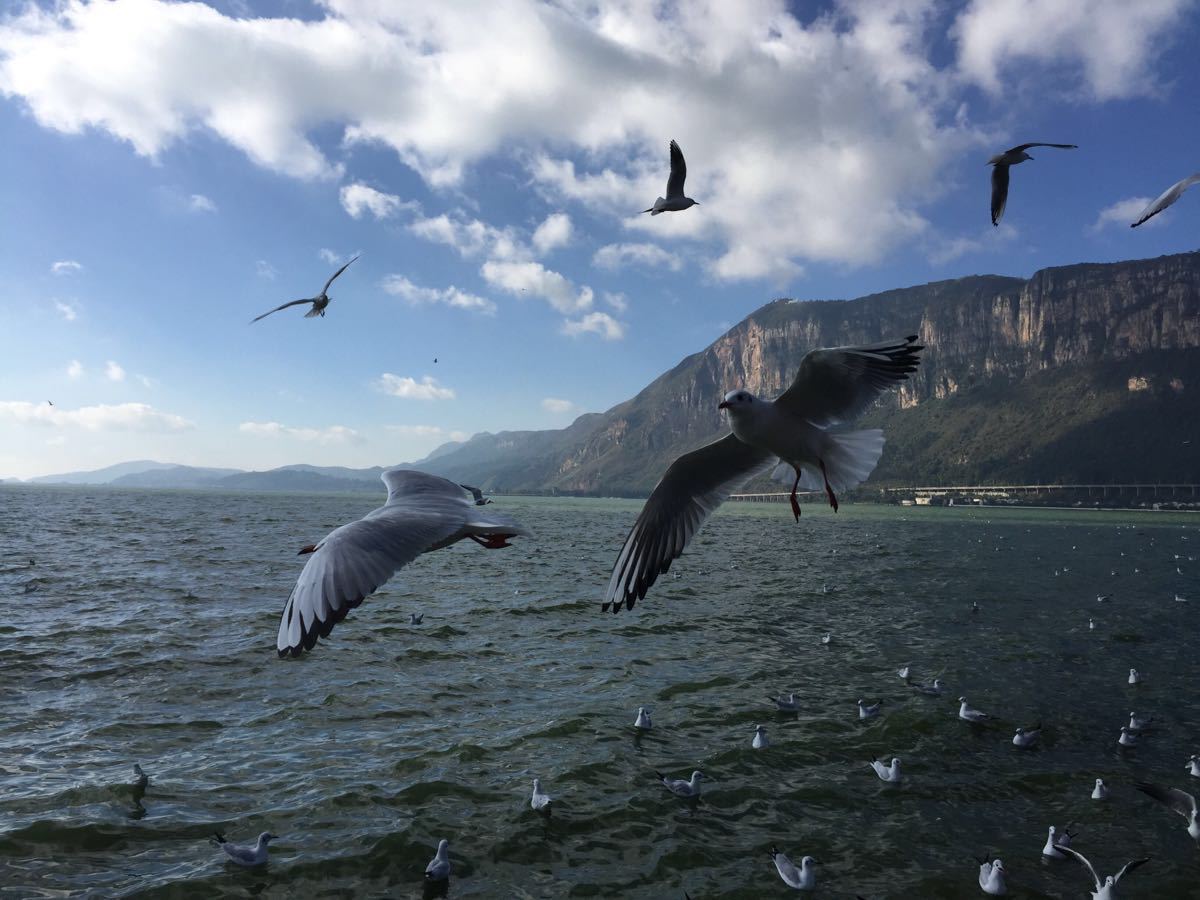 滇池旅遊景點攻略圖