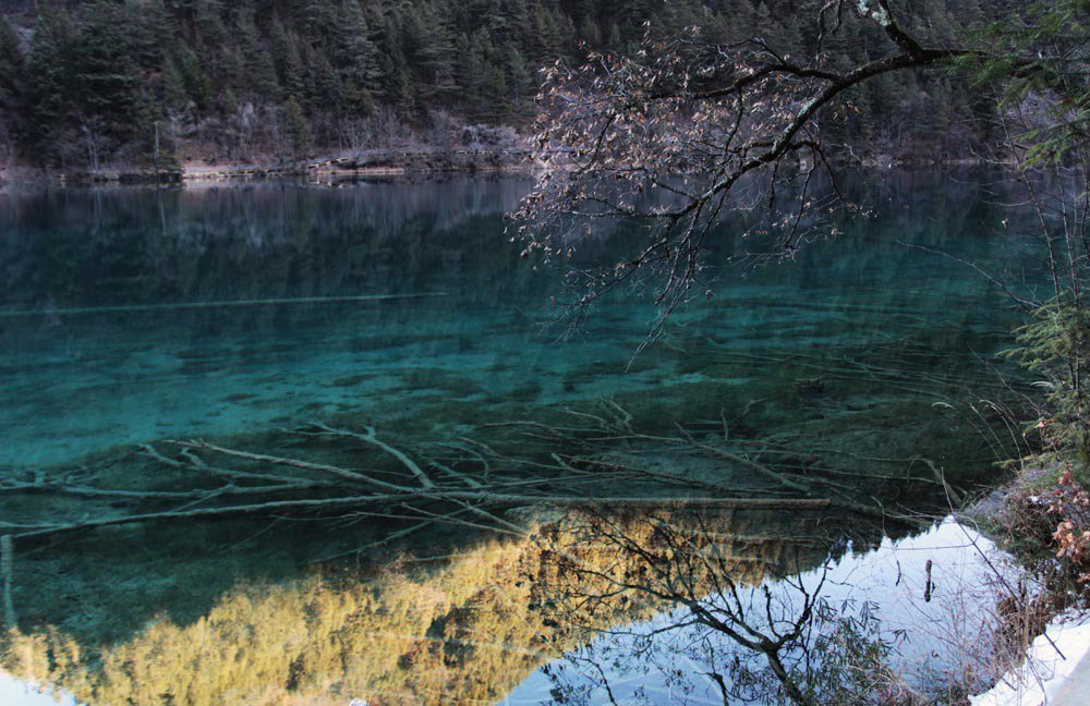 【携程攻略】九寨沟镜海景点,看攻略据说镜海要一早好看.