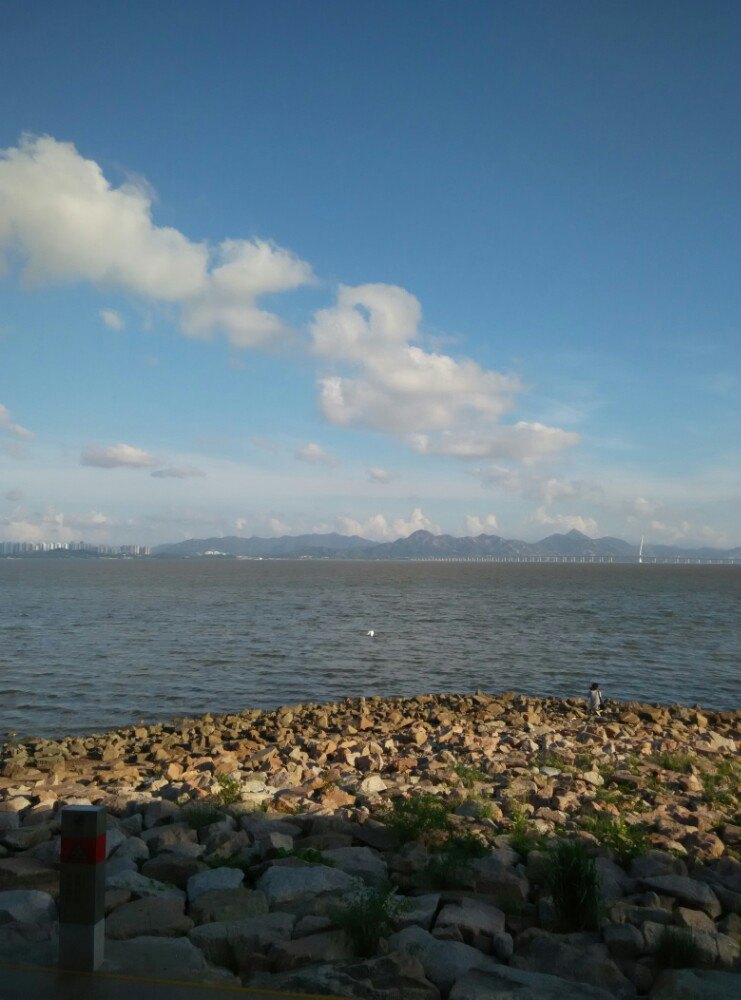 2019红树林_旅游攻略_门票_地址_游记点评,深圳旅游景点推荐 - 去哪儿