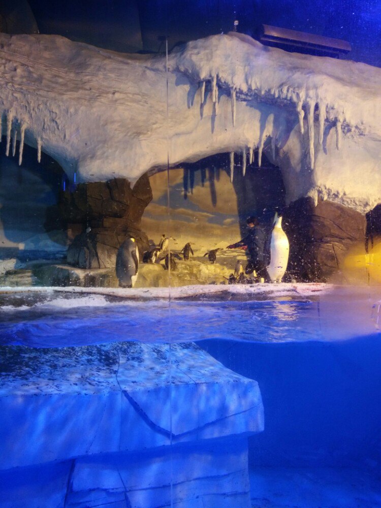 成都海昌极地海洋公园