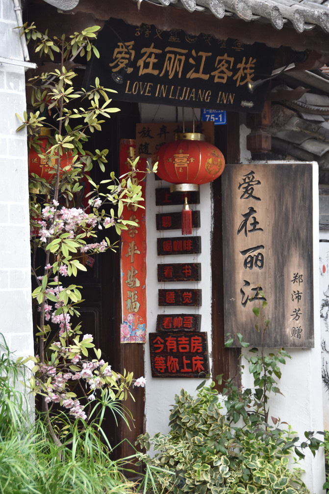 漫步走入风花雪月的怀抱--丽江大理洱海