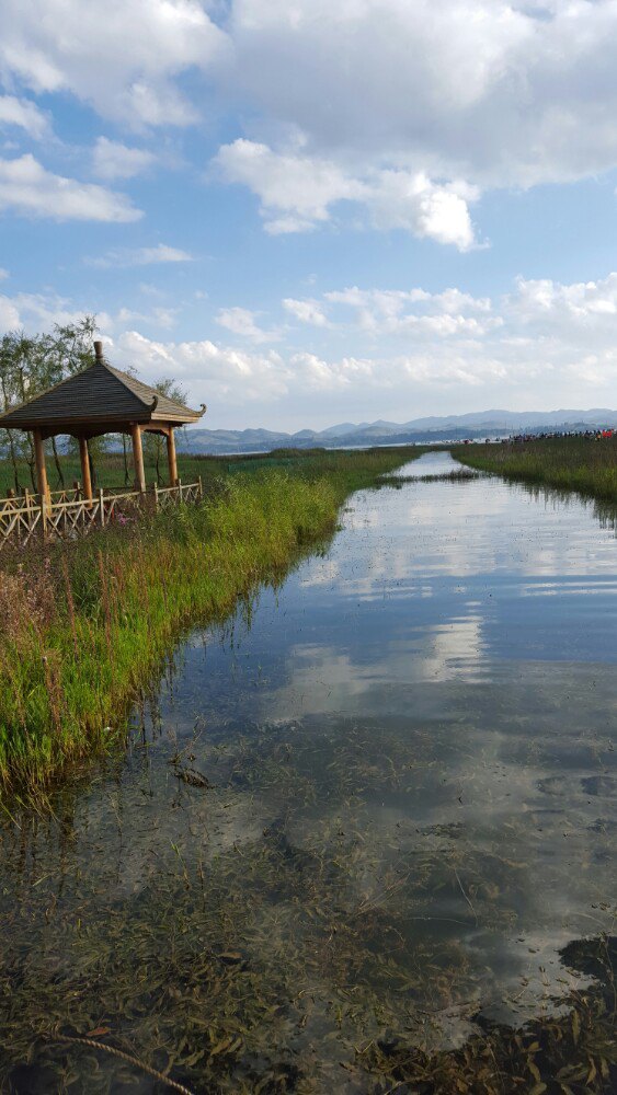 浪漫草海风景区