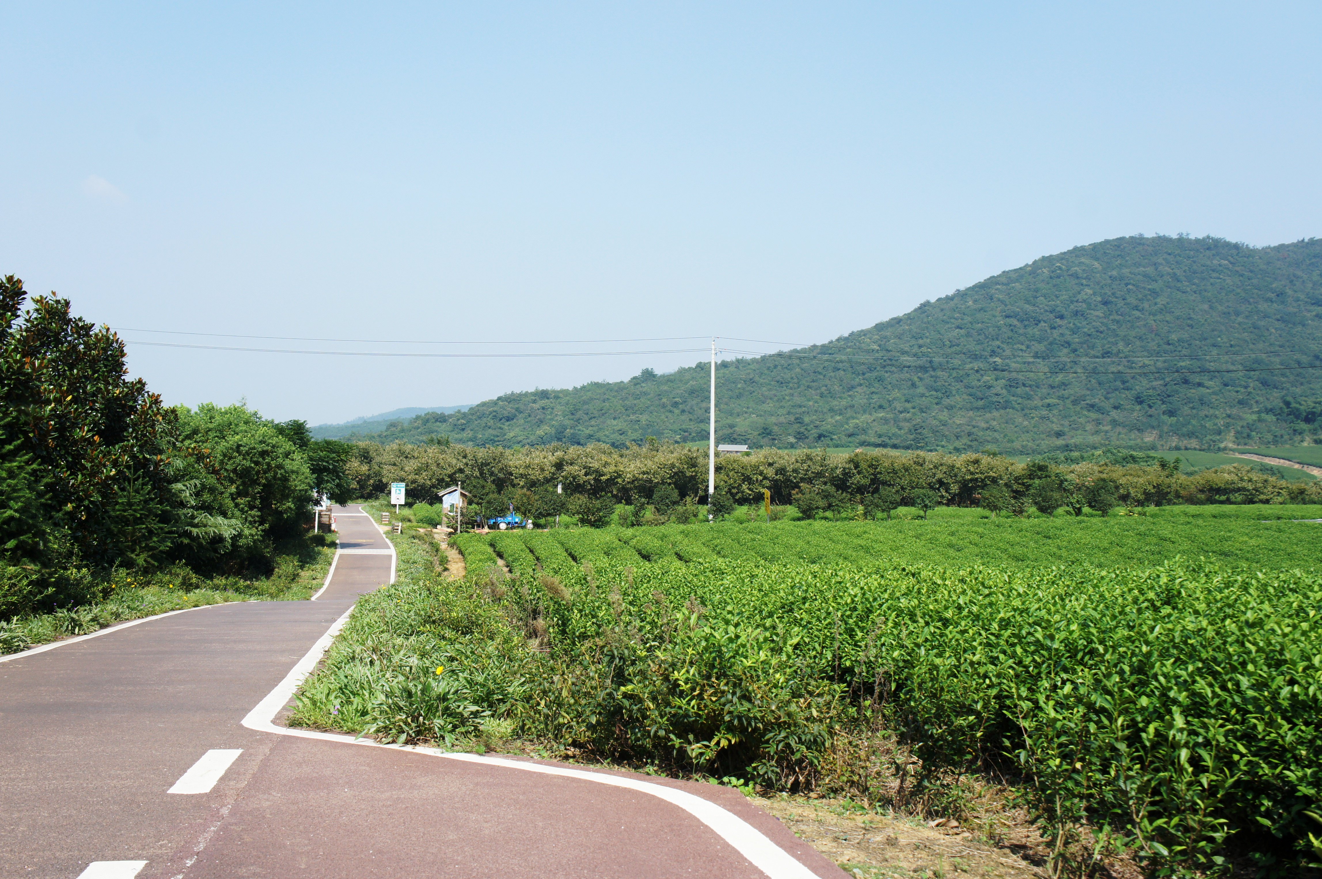 龙池山自行车公园