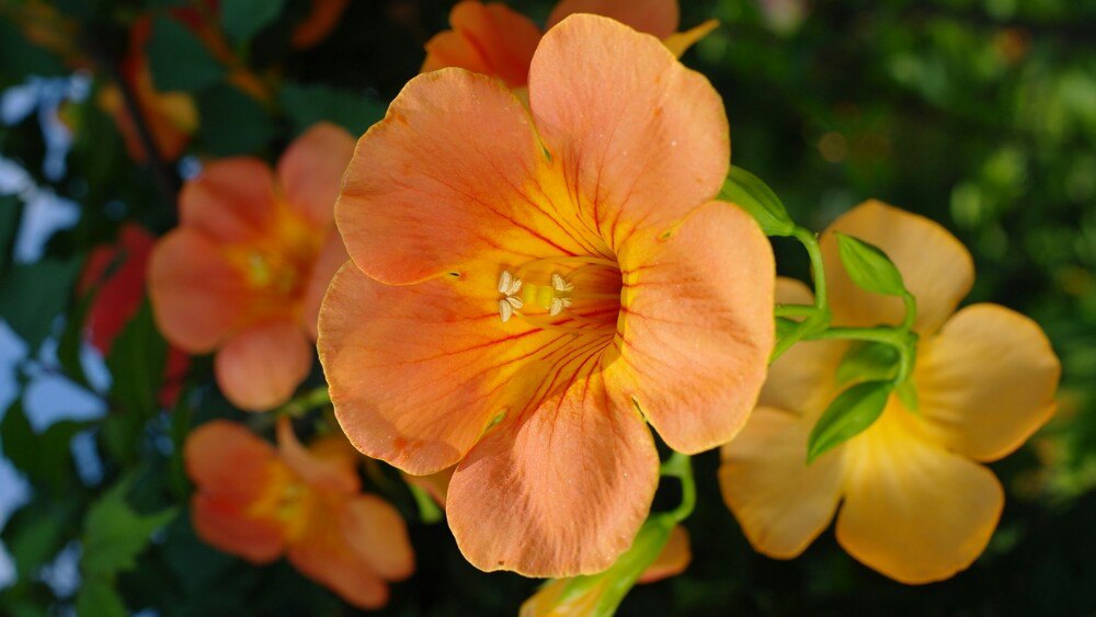 玲珑塔(八里庄塔)