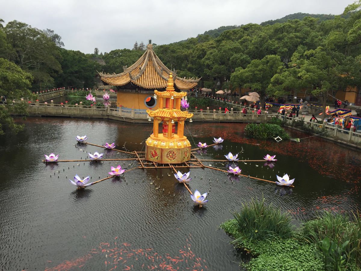 【携程攻略】普陀山普陀山风景区景点,宁波市区过去开车差不多2小时