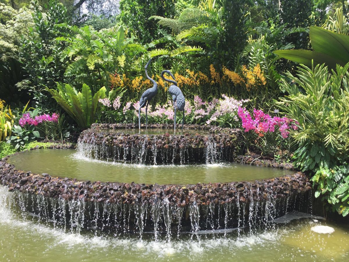 2019新加坡植物园-旅游攻略-门票-地址-问答-游记点评，新加坡旅游旅游景点推荐-去哪儿攻略