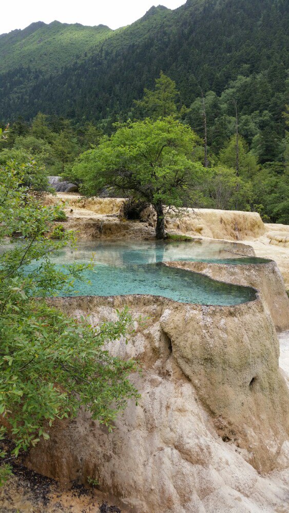 黄龙五彩池旅游景点攻略图