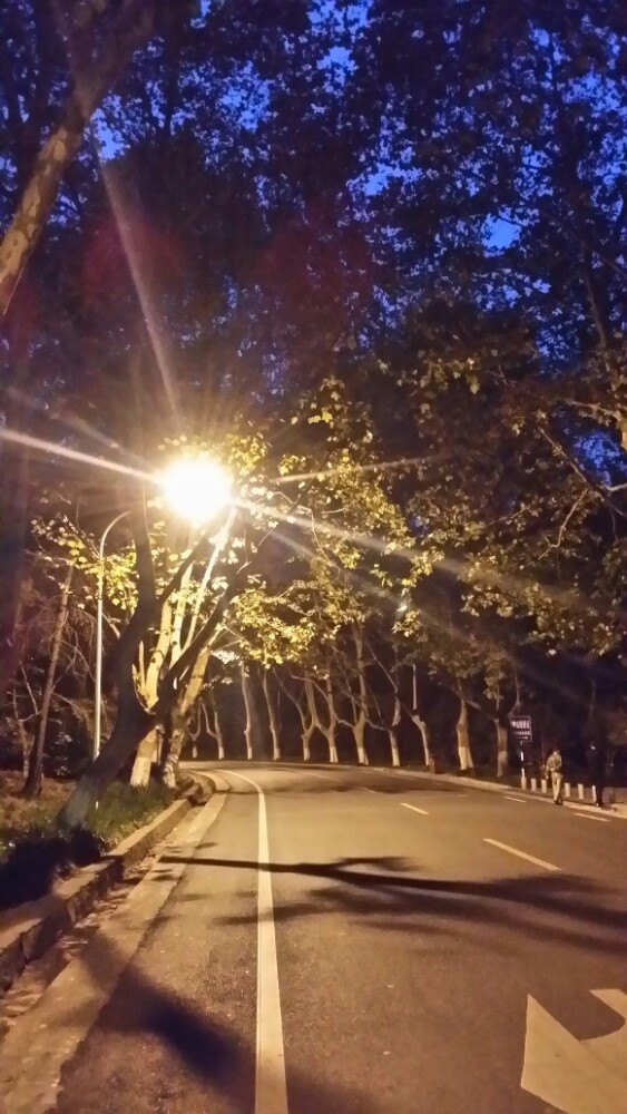 【携程攻略】南京中山陵景区适合单独旅行旅游吗,中山陵景区单独旅行
