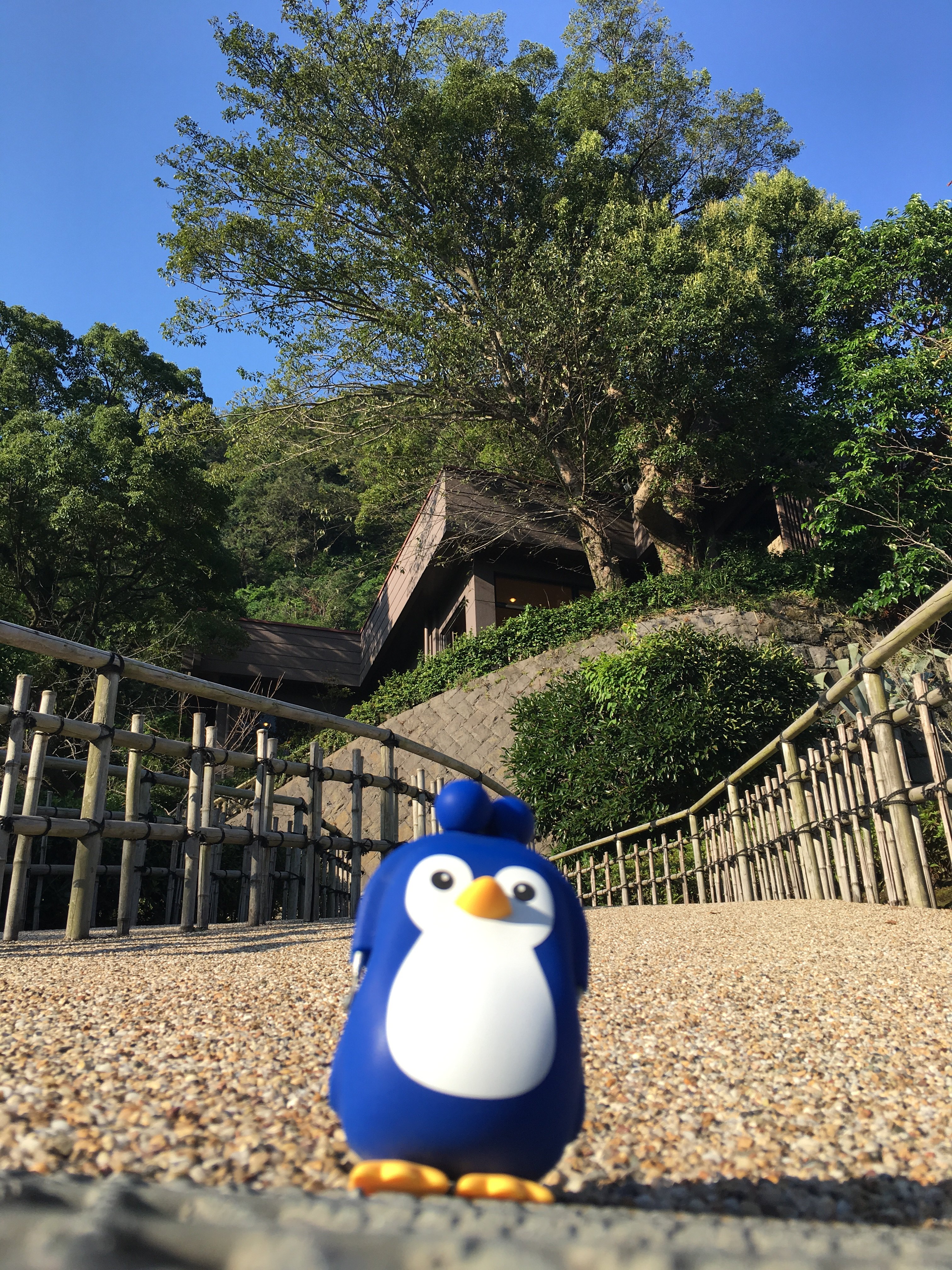 鹿兒島仙岩園好玩嗎,鹿兒島仙岩園景點怎麼樣_點評_評價【攜程攻略】