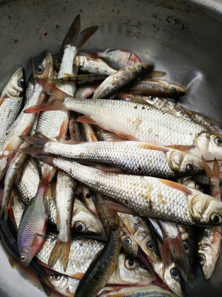 荔波茂兰自然保护区