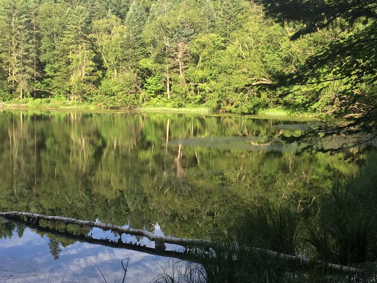 【携程攻略】长白山西坡王池适合家庭亲子旅游吗,王池家庭亲子景点