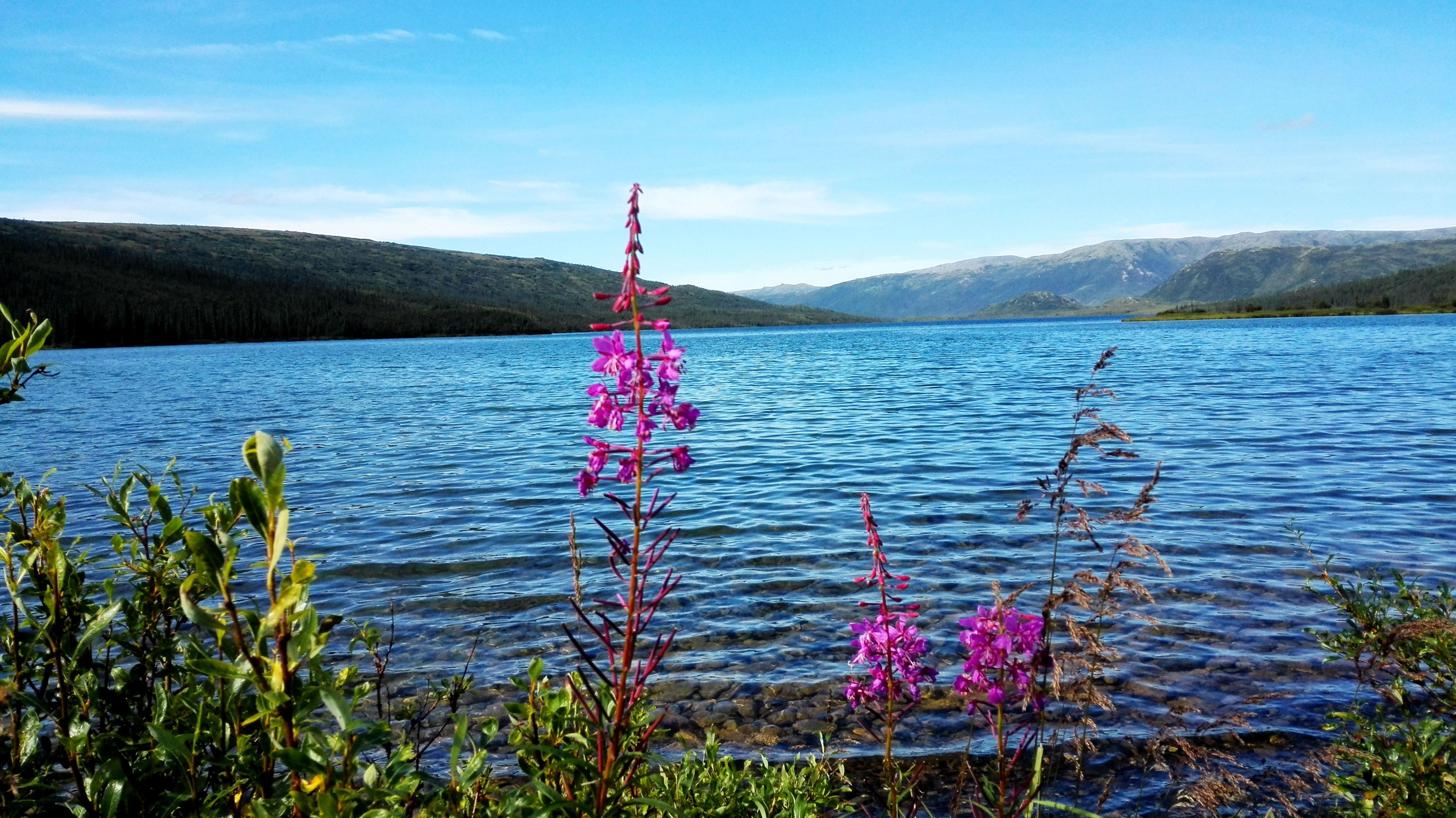 迪纳利国家公园